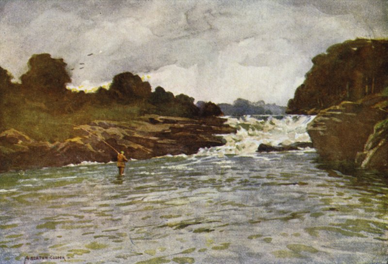 Kathleens Watervallen, Ballyshannon door Alfred Heaton Cooper
