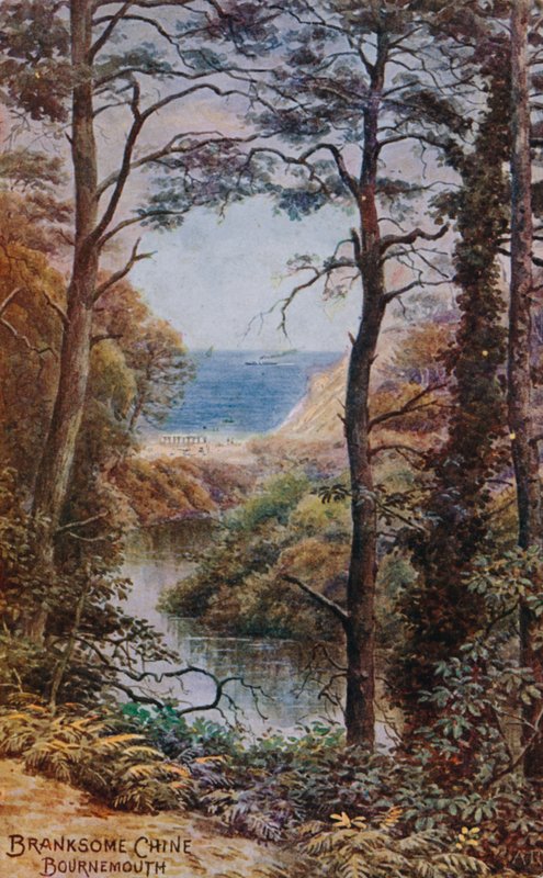 Branksome Chine, Bournemouth door Alfred Robert Quinton