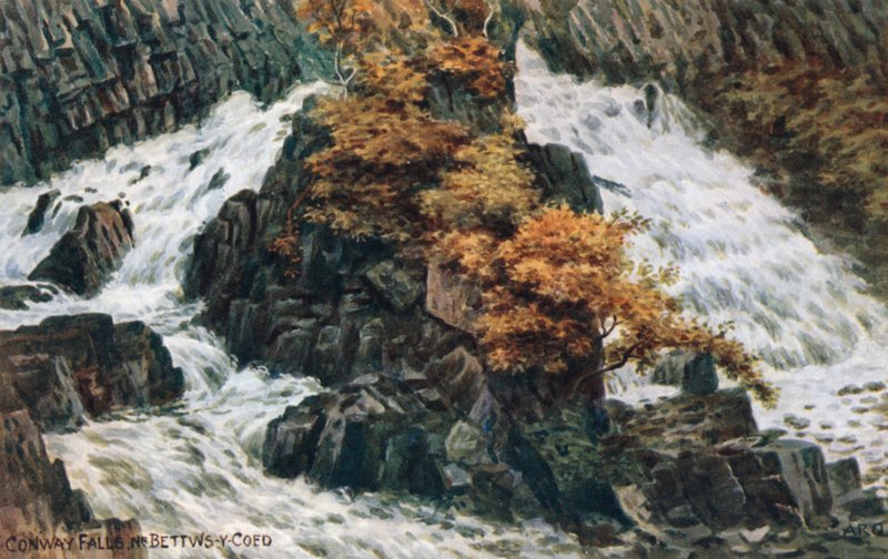Conway Falls, nabij Bettws-y-Coed door Alfred Robert Quinton