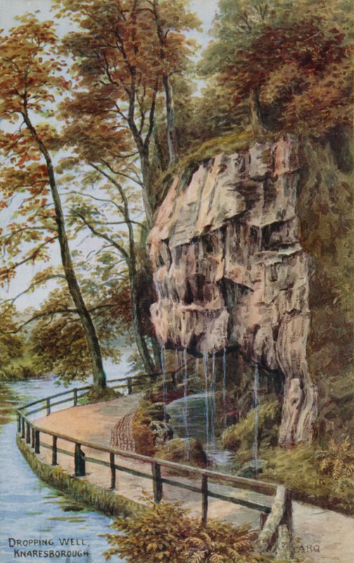 Dropping Well, Knaresborough door Alfred Robert Quinton