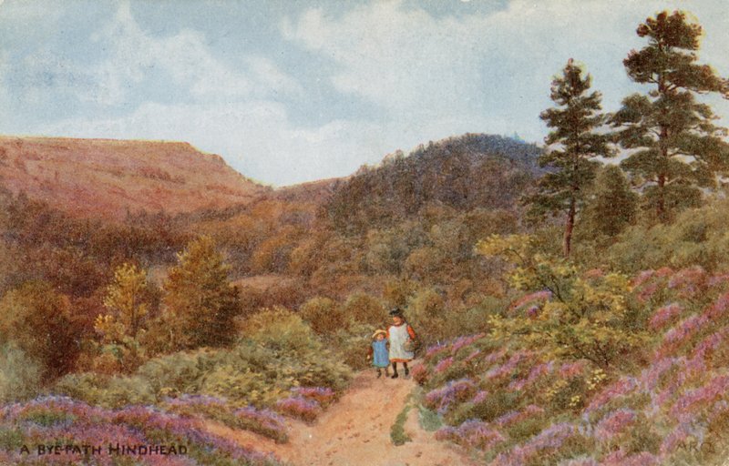 Hindhead door Alfred Robert Quinton