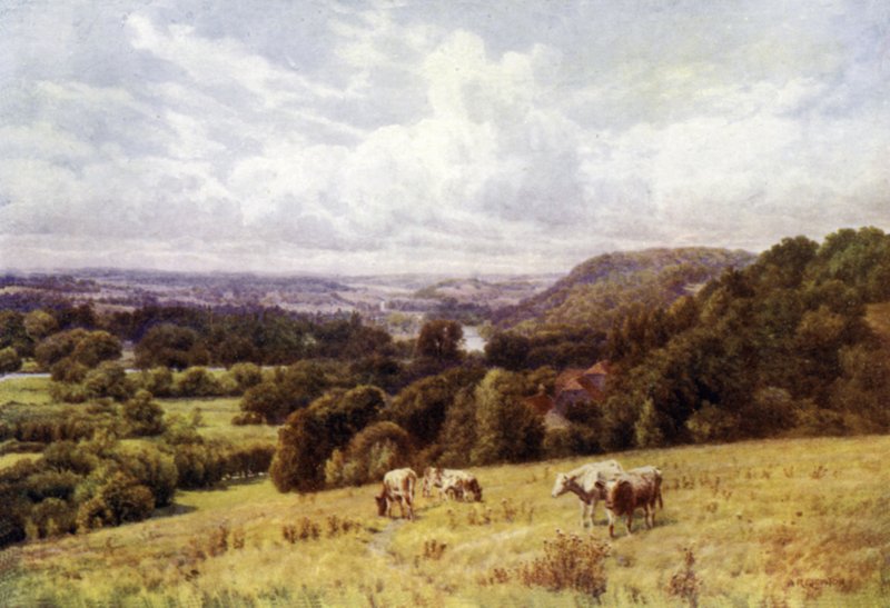 De Thames-vallei vanaf Hennerton, Henley door Alfred Robert Quinton