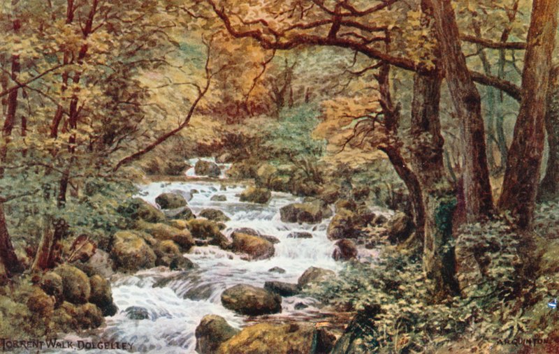 Torrent Walk, Dolgelley door Alfred Robert Quinton
