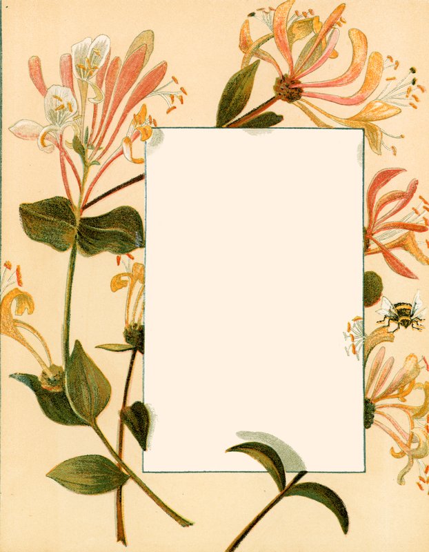 Augustus door Alicia Amy Leith