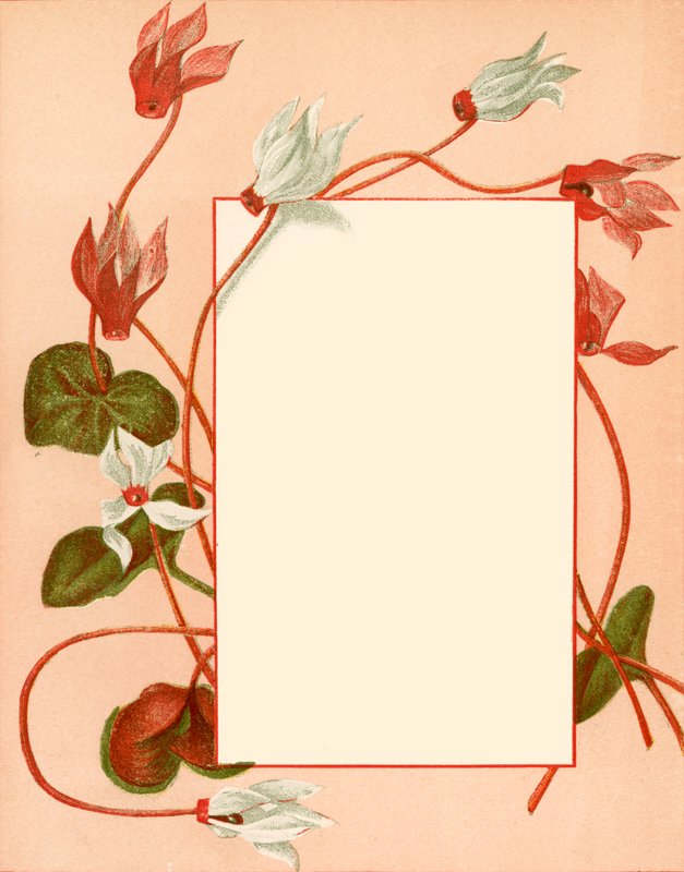 Januari door Alicia Amy Leith