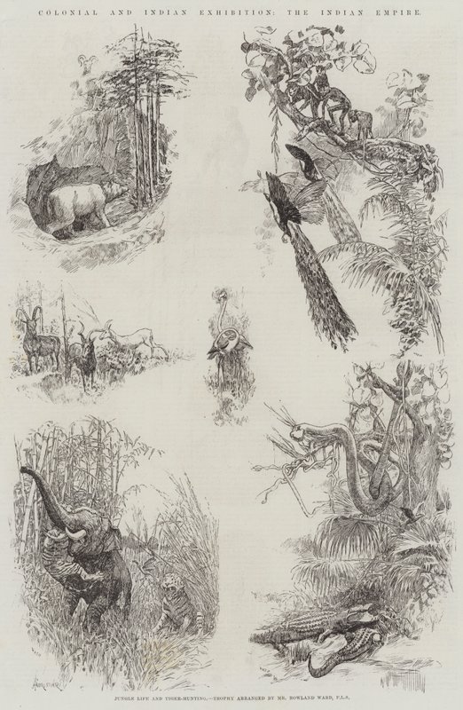 Koloniale en Indiase Tentoonstelling, het Indiase Rijk door Amedee Forestier