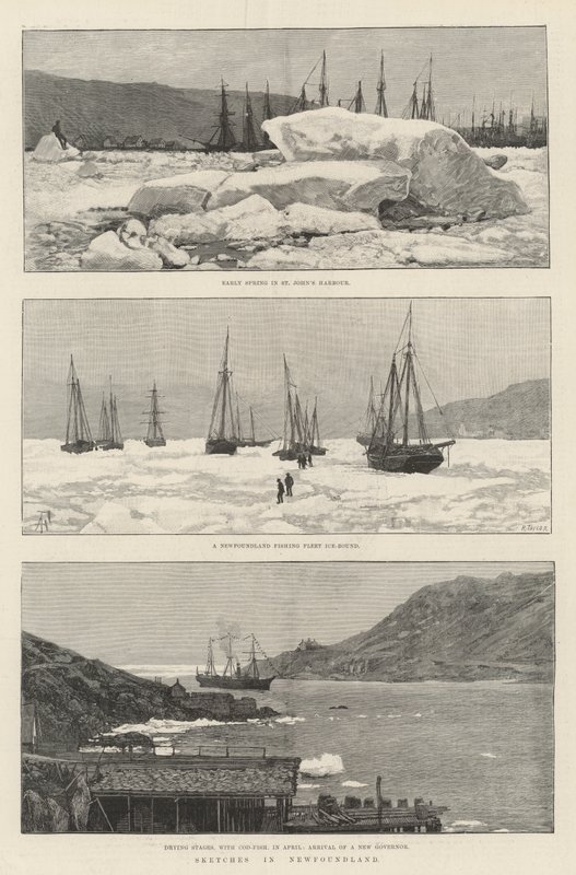 Schetsen in Newfoundland door Amedee Forestier