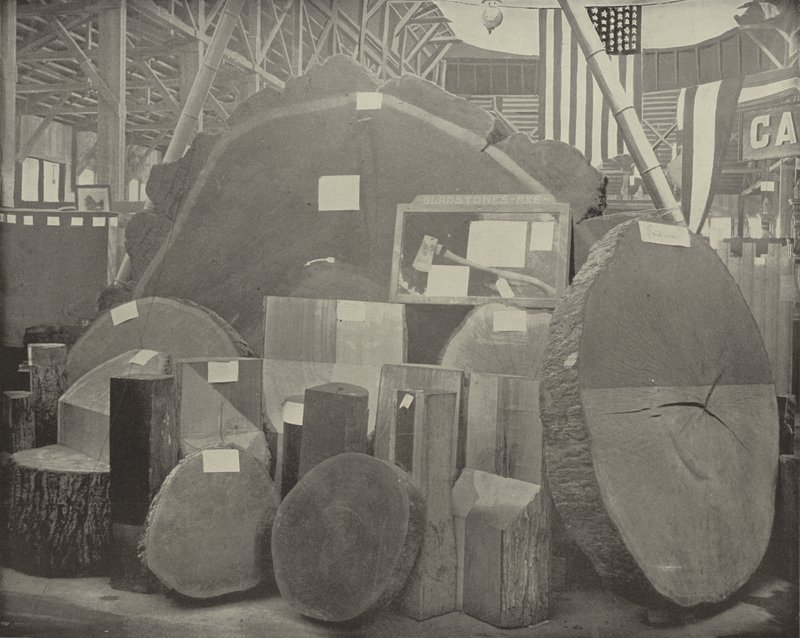 Gladstones Bijl door American Photographer