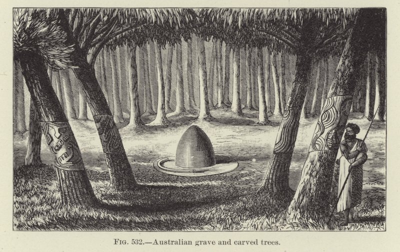Australisch Graf en Gesneden Bomen door American School