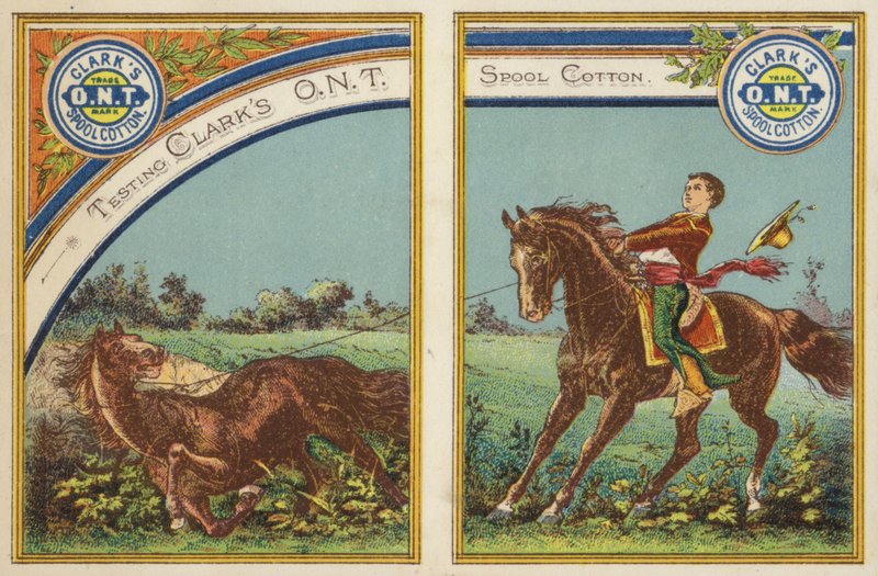 Jongen spant zich in te paard door American School