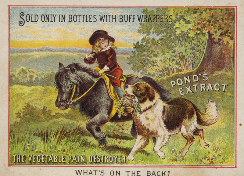 Jongen rijdt op een pony met zijn hond door American School