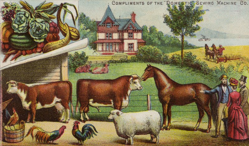 Boerderij en dieren door American School