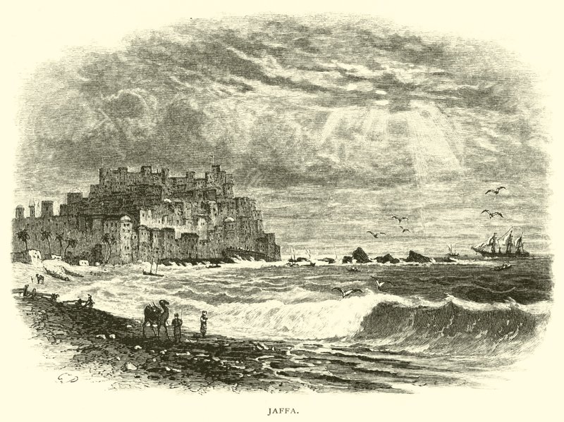 Jaffa door American School
