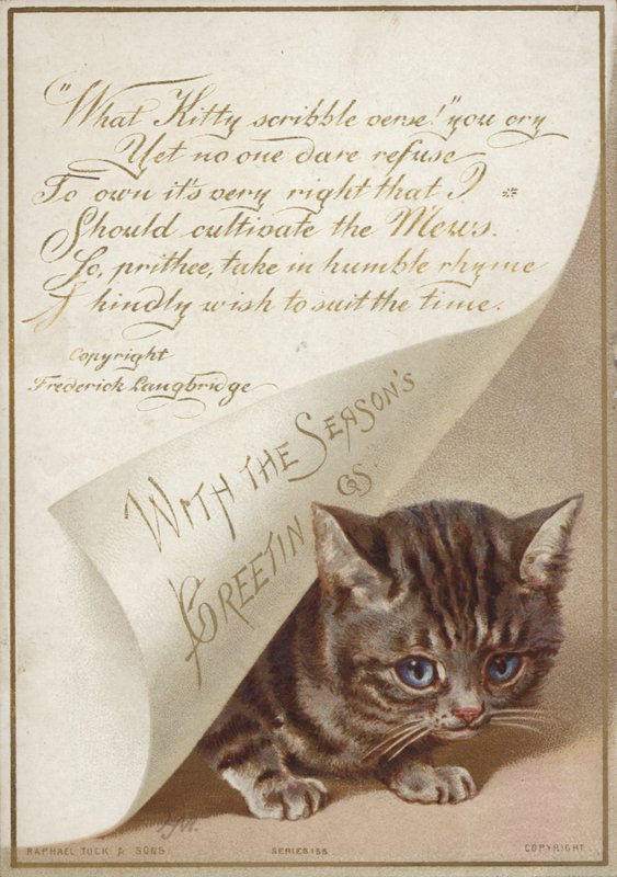 Kitten verstopt zich onder brief door American School