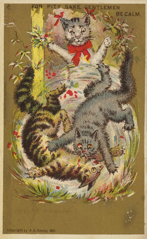 Drie Speelse Katten door American School