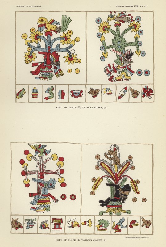 Vaticaanse Codex door American School