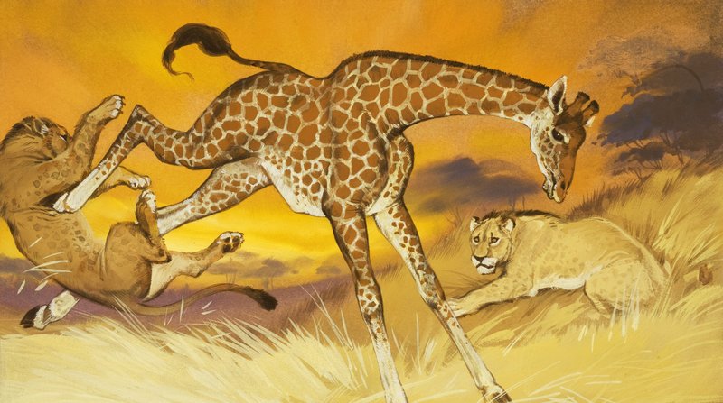Giraffe schopt leeuw door Angus McBride
