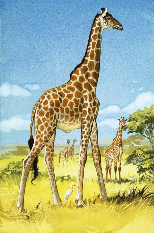 Giraffen door Angus McBride