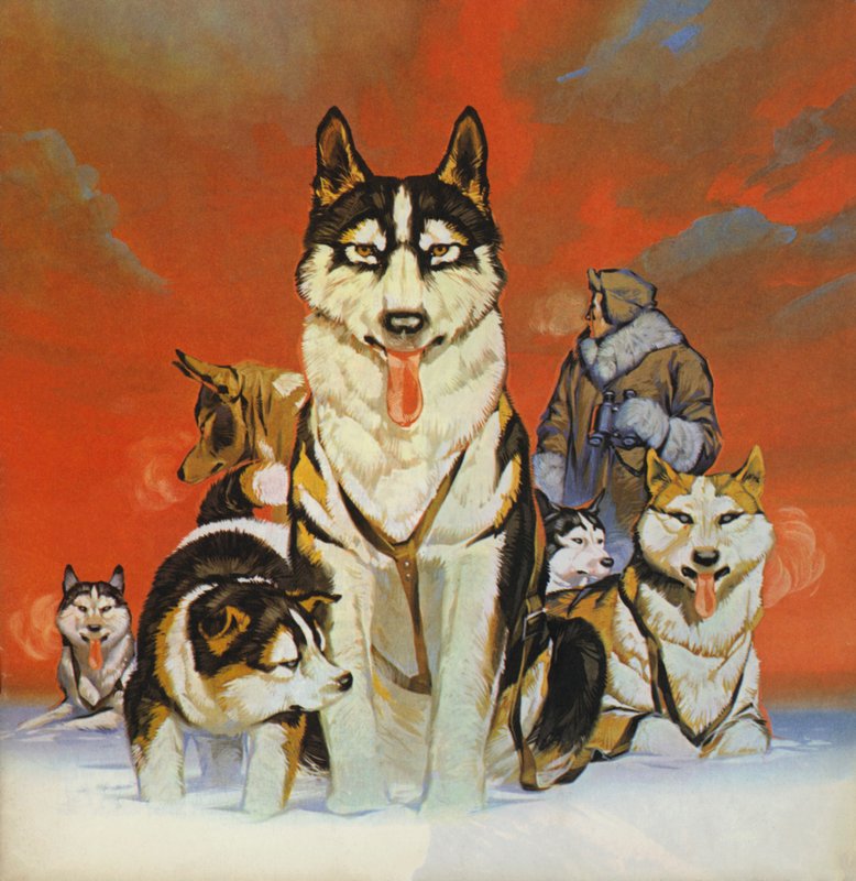 Husky