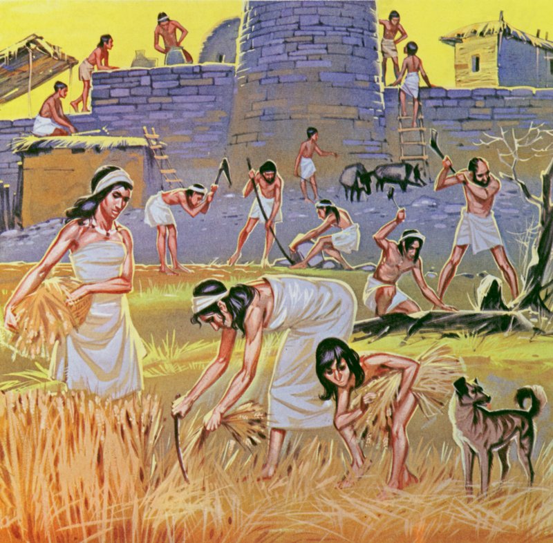 Boeren uit de Nieuwe Steentijd (kleurenlitho) door Angus McBride