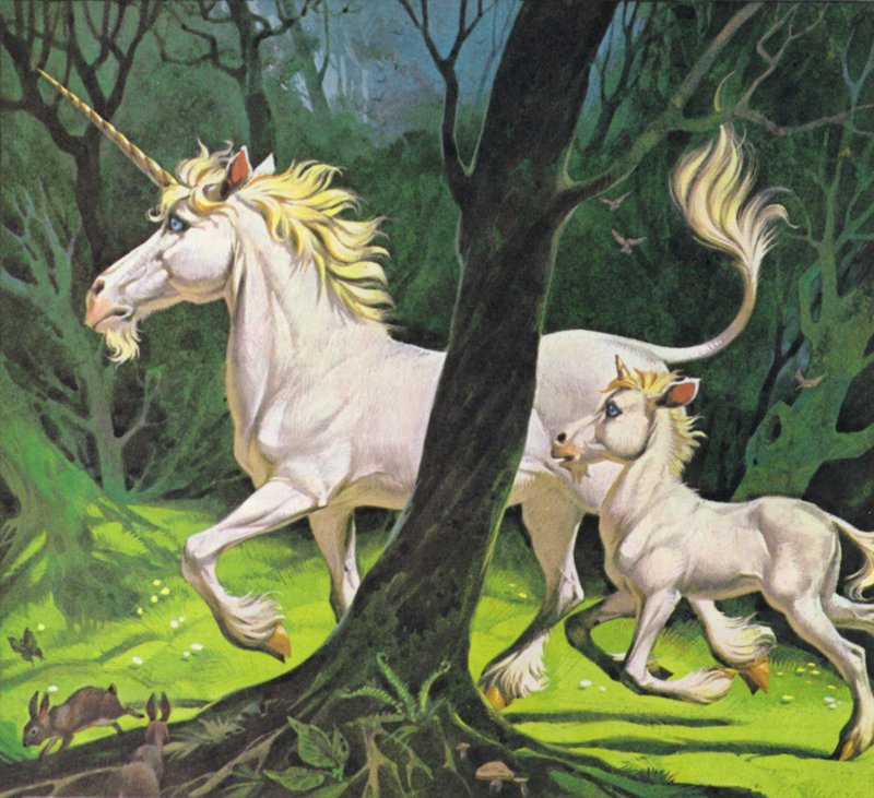 Eenhoorns (kleurenlitho) door Angus McBride