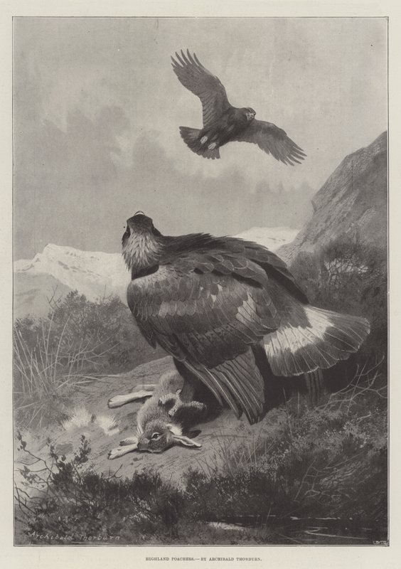 Highland Stropers door Archibald Thorburn