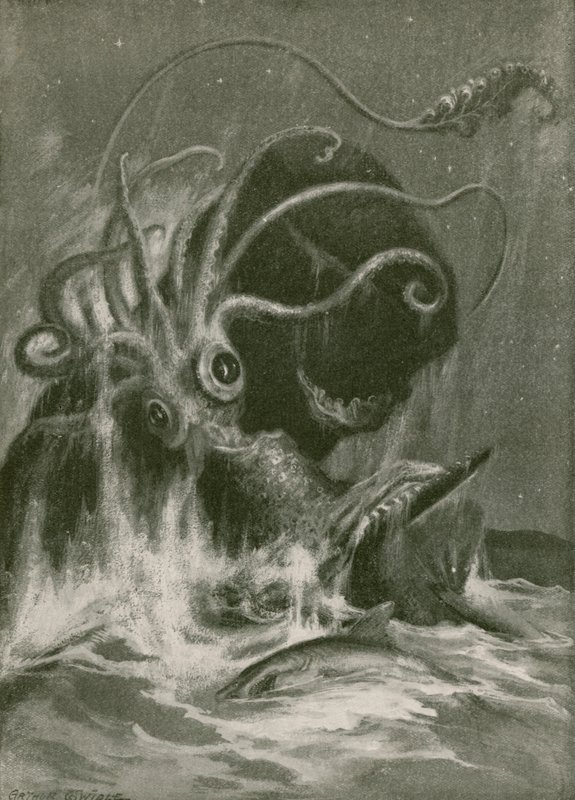 Kraken versus potvis door Arthur Twidle
