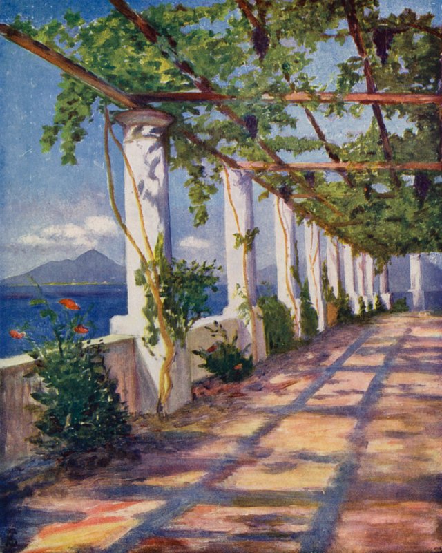 Pergola door Augustine Fitzgerald
