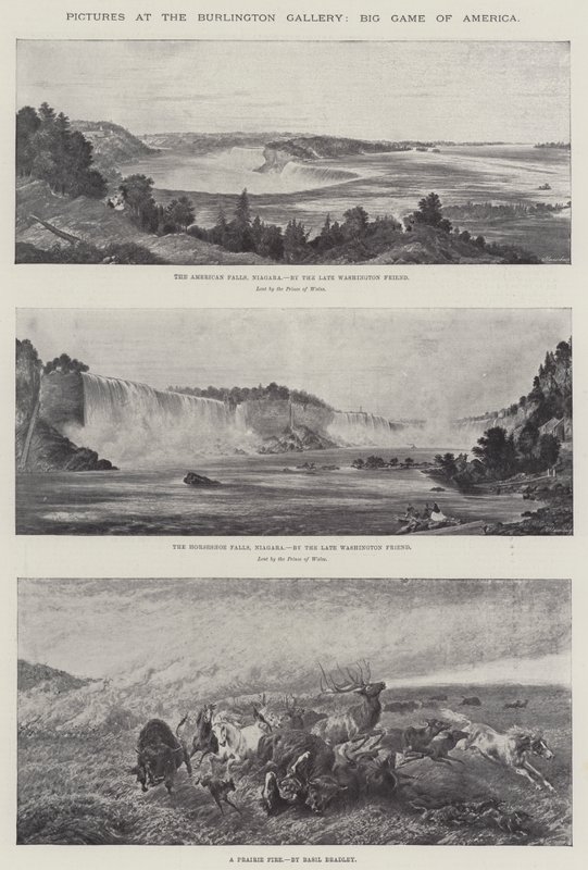 Schilderijen in de Burlington Gallery, Groot Wild van Amerika door Basil Bradley