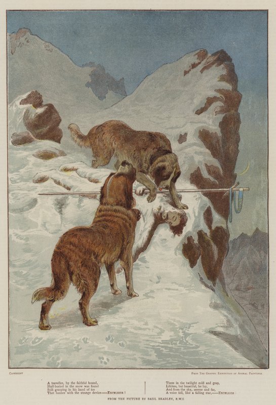 Een reiziger, door de trouwe hond door Basil Bradley