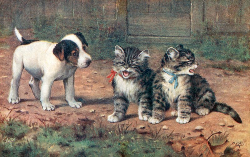 Katten ansichtkaart door Bernard Cobbe
