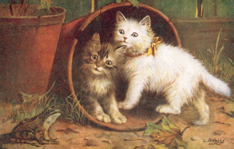 Kattenansichtkaart door Bernard Cobbe