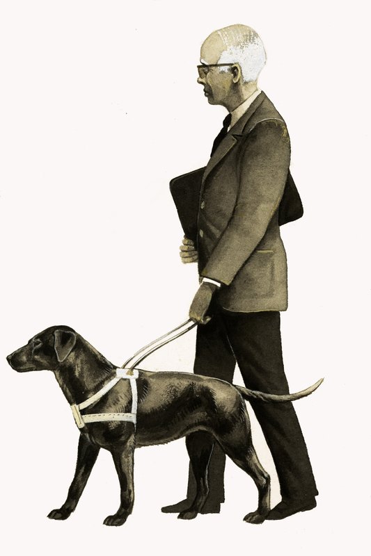 Blindengeleidehond door Bob Hersey