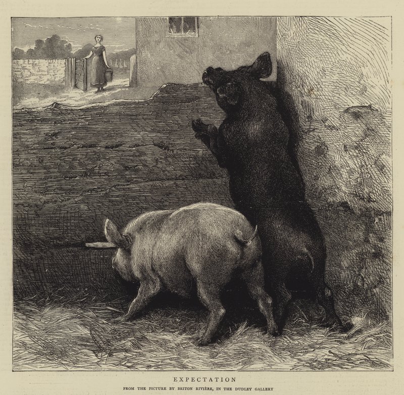 Verwachting door Briton Riviere
