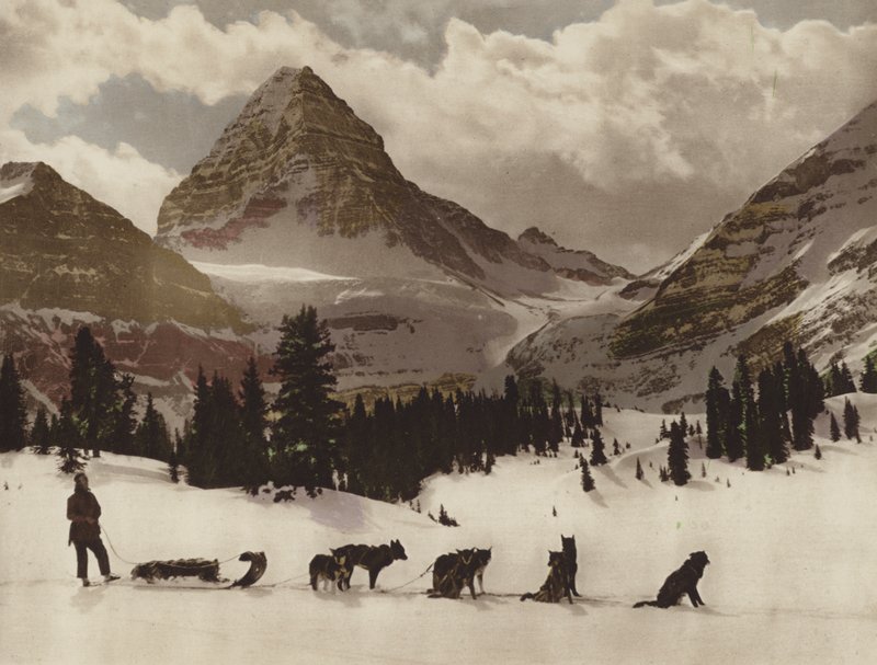 Mount Assiniboine door Byron Hill Harmon