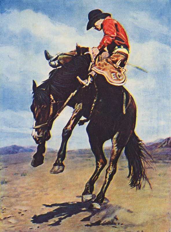 Cowboy rijdt op een bronco (gekleurde foto) door Canadian Photographer