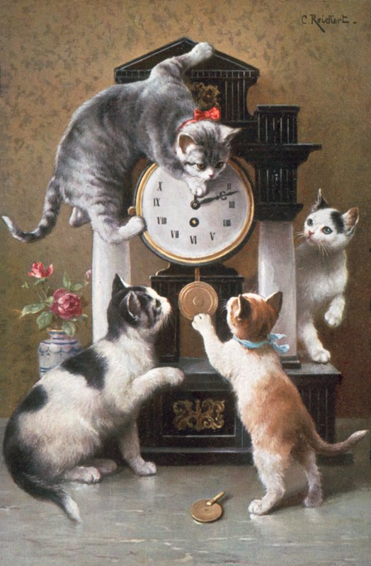 Kattenkaart door Carl Reichert