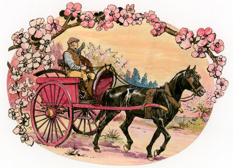 Zwarte Schoonheid door Carlos Gabriel Roume