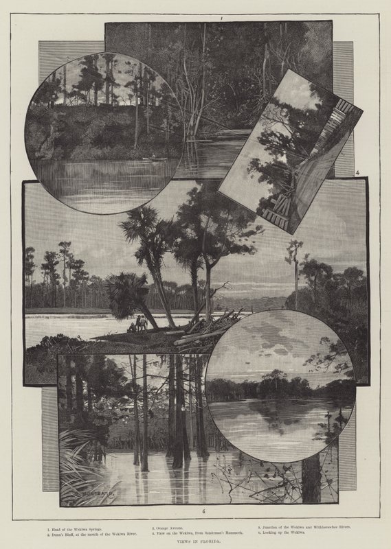 Uitzichten in Florida door Charles Auguste Loye