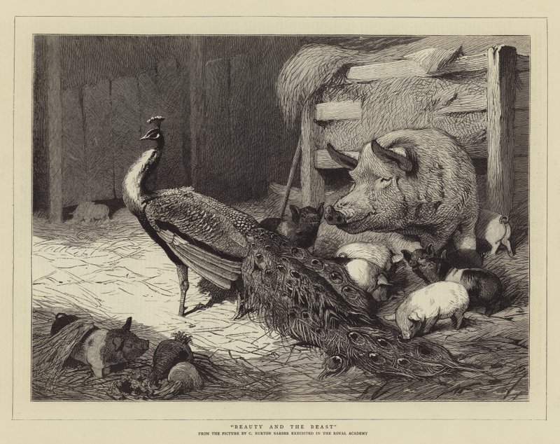 Belle en het Beest door Charles Burton