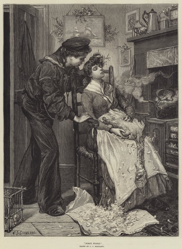 Veertig Winks door Charles J. Staniland