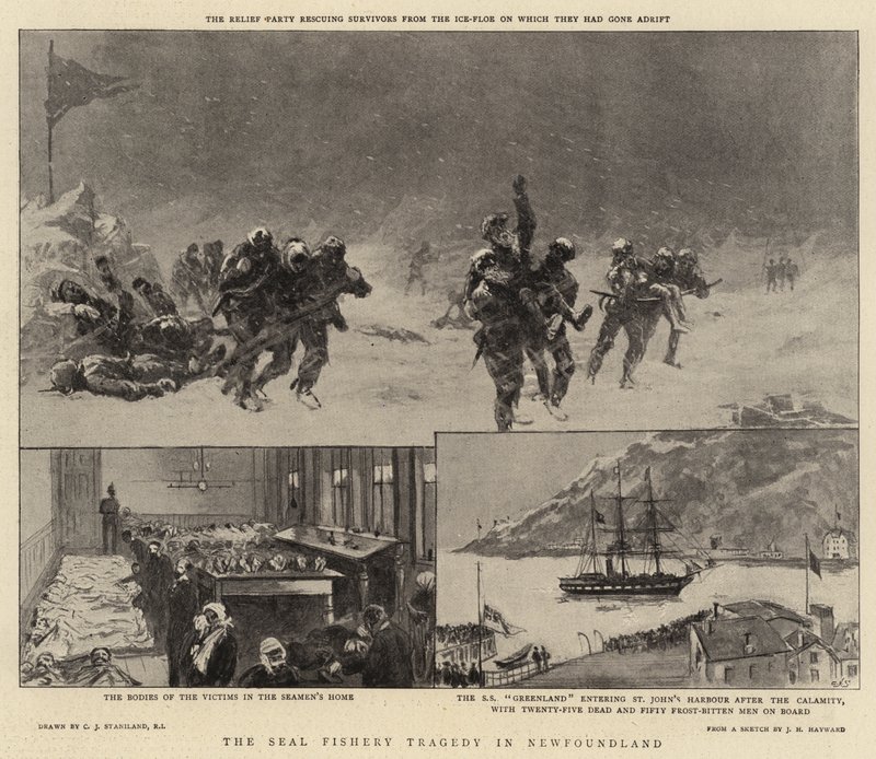 De Zeehondenvisserij Tragedie in Newfoundland door Charles J. Staniland