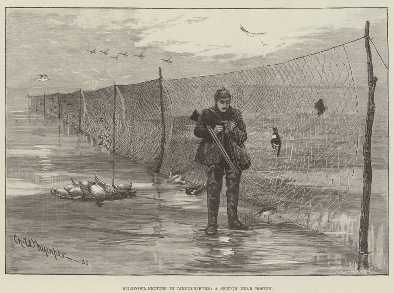 Wildfowl-Netting in Lincolnshire, een schets nabij Boston door Charles Whymper