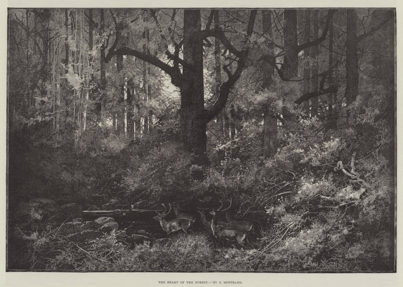 Het hart van het bos door Charles Auguste Loye