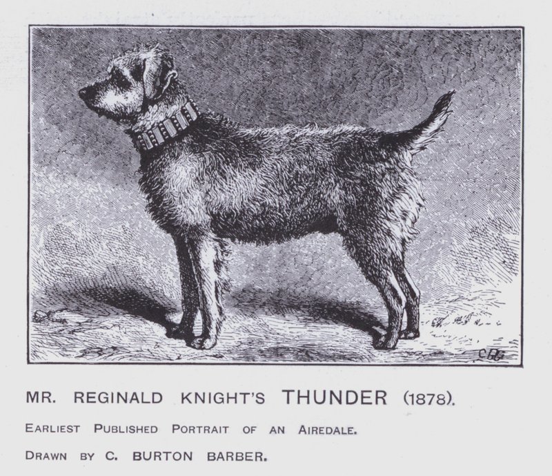 De donder van meneer Reginald Knight door Charles Burton (after) Barber