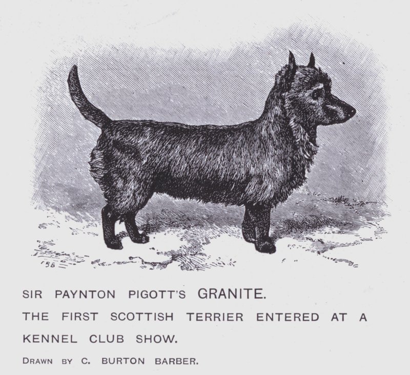 Sir Paynton Pigott
