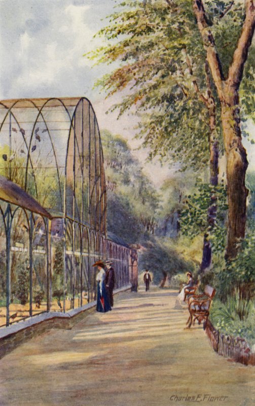 Londense Dierentuin: Westelijke Volière door Charles Edwin Flower