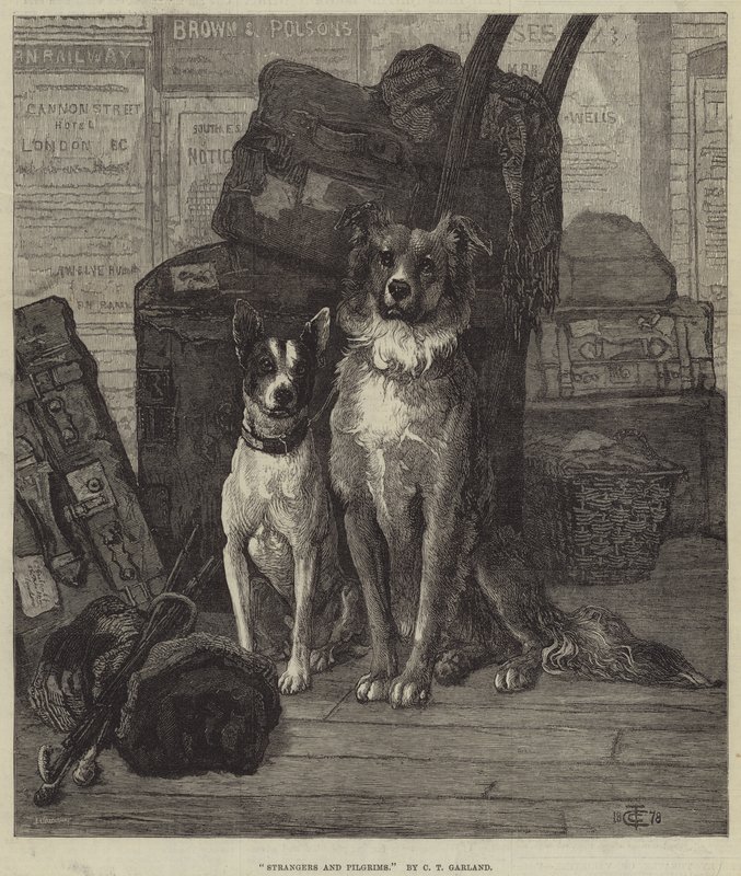 Vreemdelingen en pelgrims door Charles Trevor Garland
