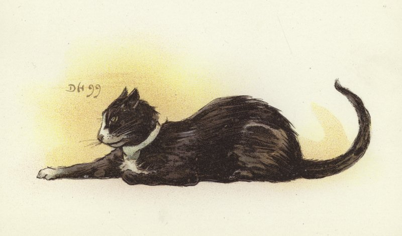 Savoy kat door Dudley Hardy