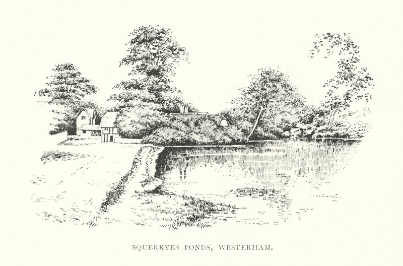 Squerryes Ponds, Westerham door Duncan Moul